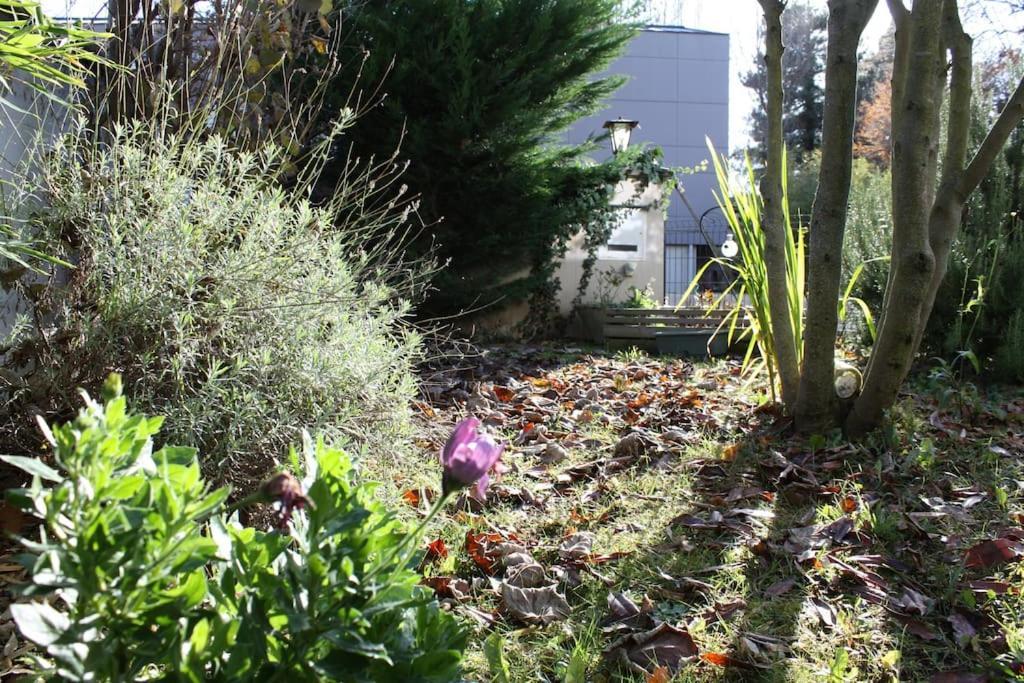 Superb Apt- Garden- 3 Parkings, Near Petite Venise ! Colmar Exterior foto