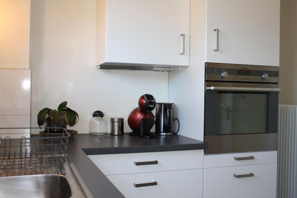 Superb Apt- Garden- 3 Parkings, Near Petite Venise ! Colmar Exterior foto