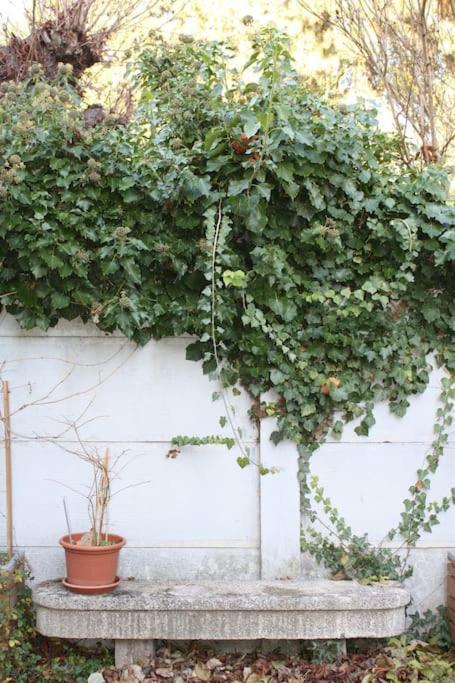 Superb Apt- Garden- 3 Parkings, Near Petite Venise ! Colmar Exterior foto